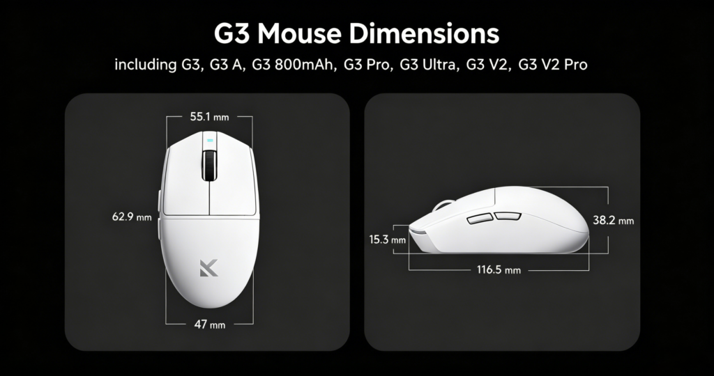 Mouse