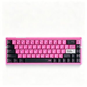 RS6 Ultra+ Sakura Warrior Princess [Ice Blade Switch PRO]